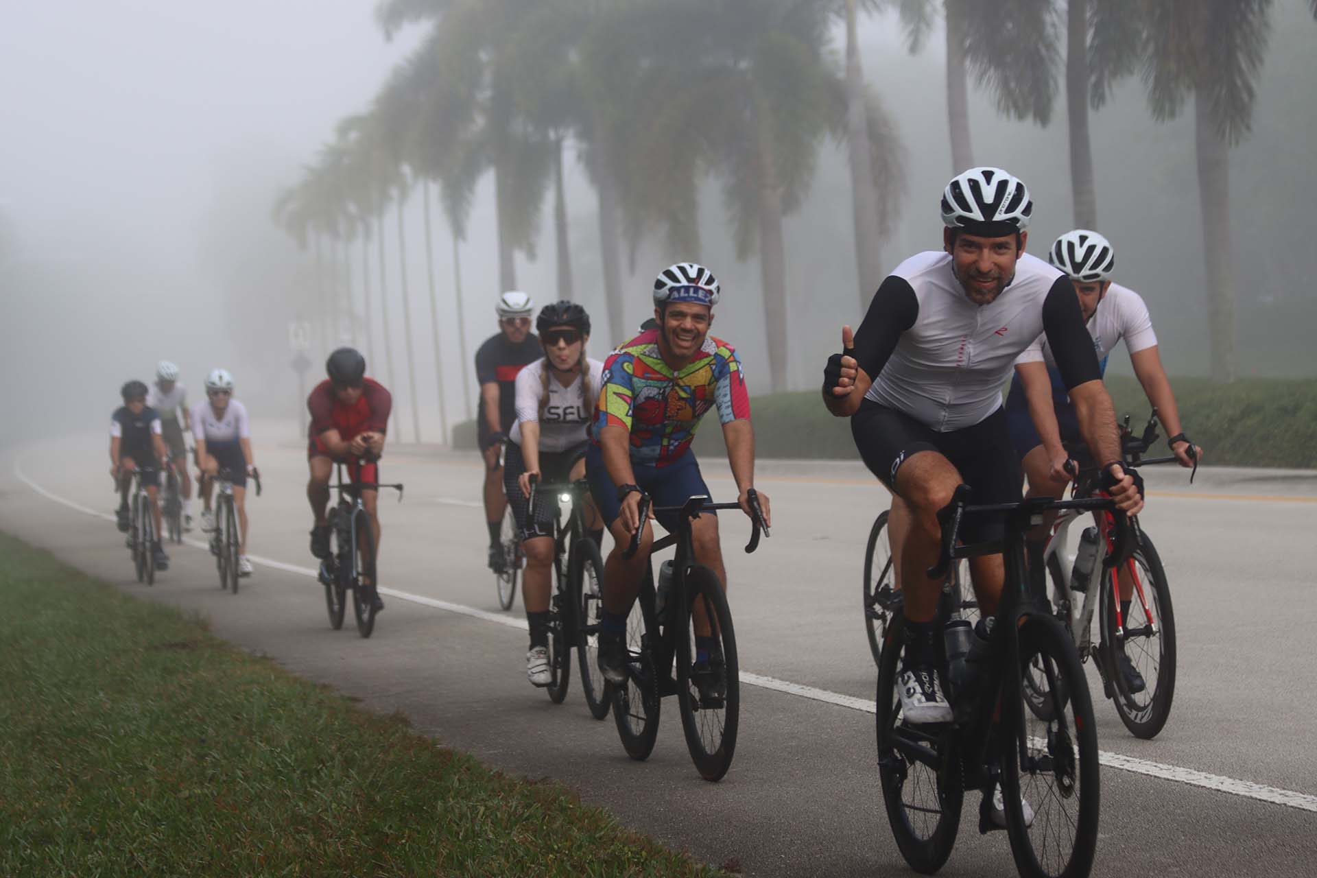 Cyclists riding through a palm-lined road in Weston.