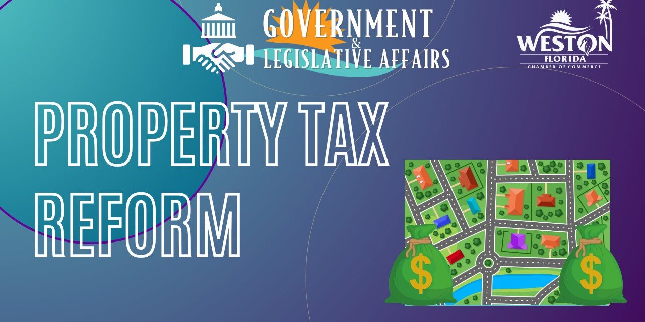 Florida Property Tax Reform Proposal