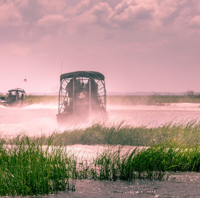 An airboat carrying passengers glides across sawgrass wetlands in the Florida Everglades