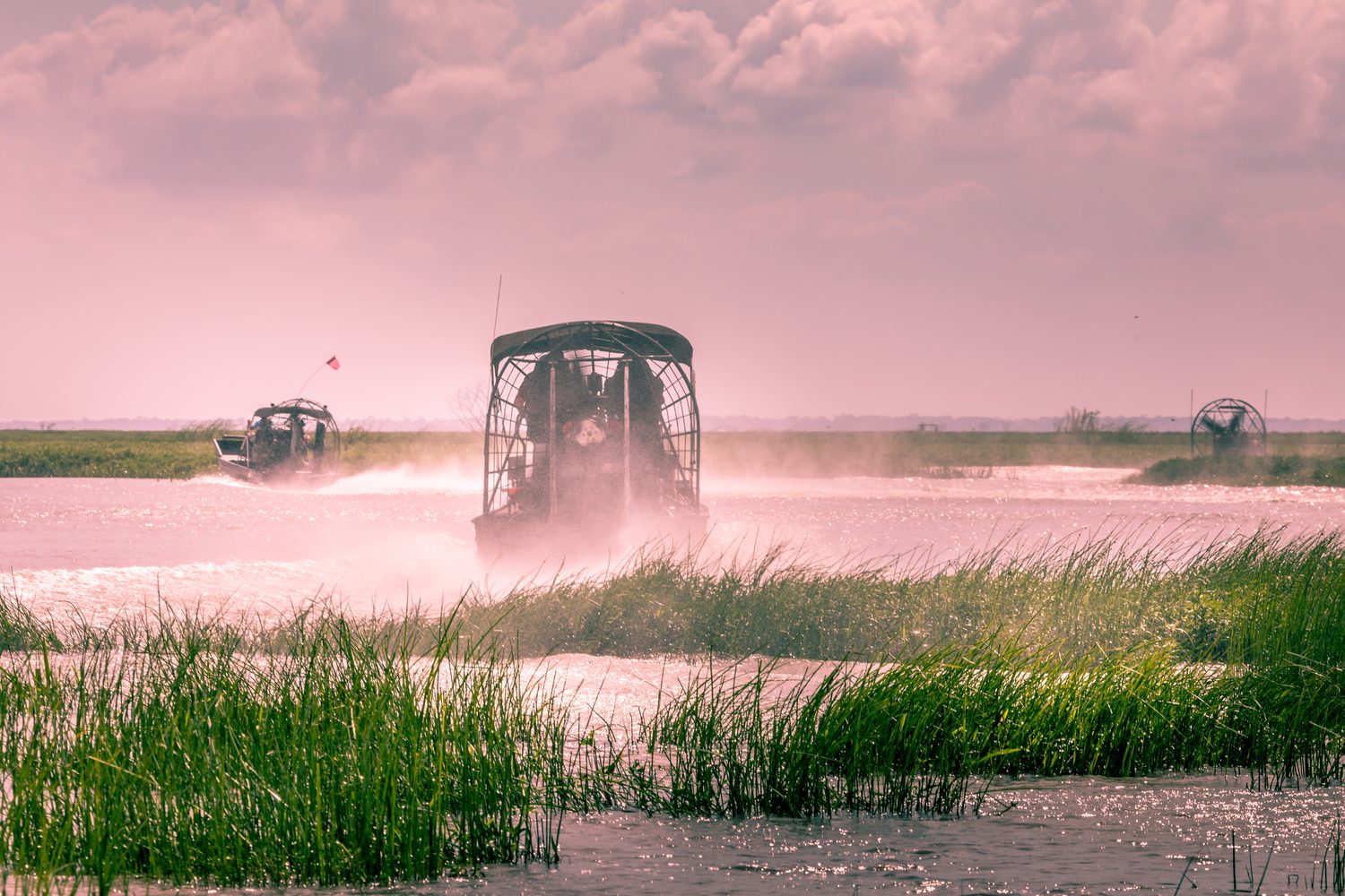 An airboat carrying passengers glides across sawgrass wetlands in the Florida Everglades